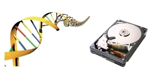 DNA-hard-drive (1)